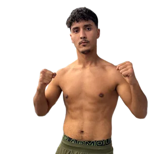 أيمن همامي